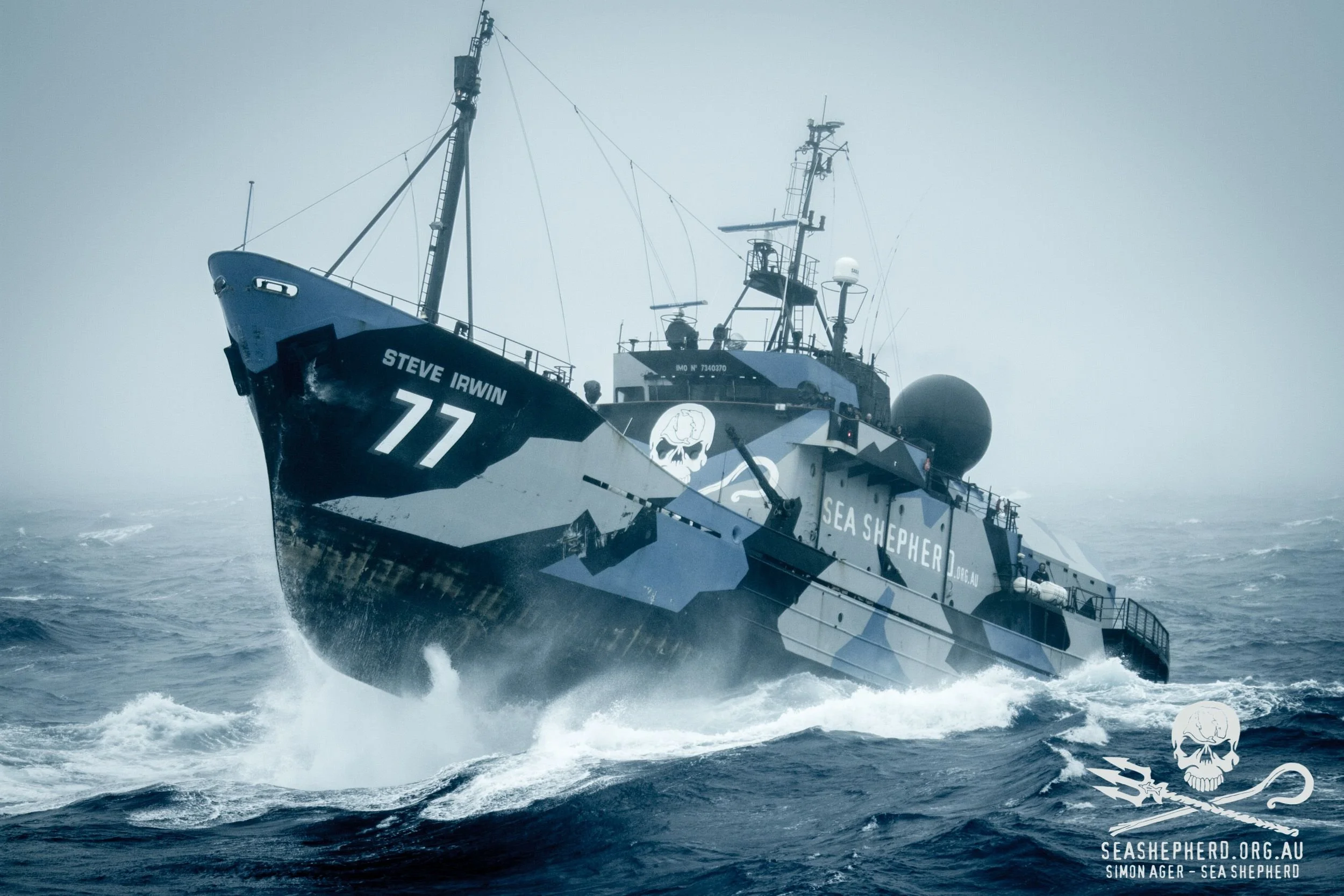 Sea Shepherd × Racines de Demain