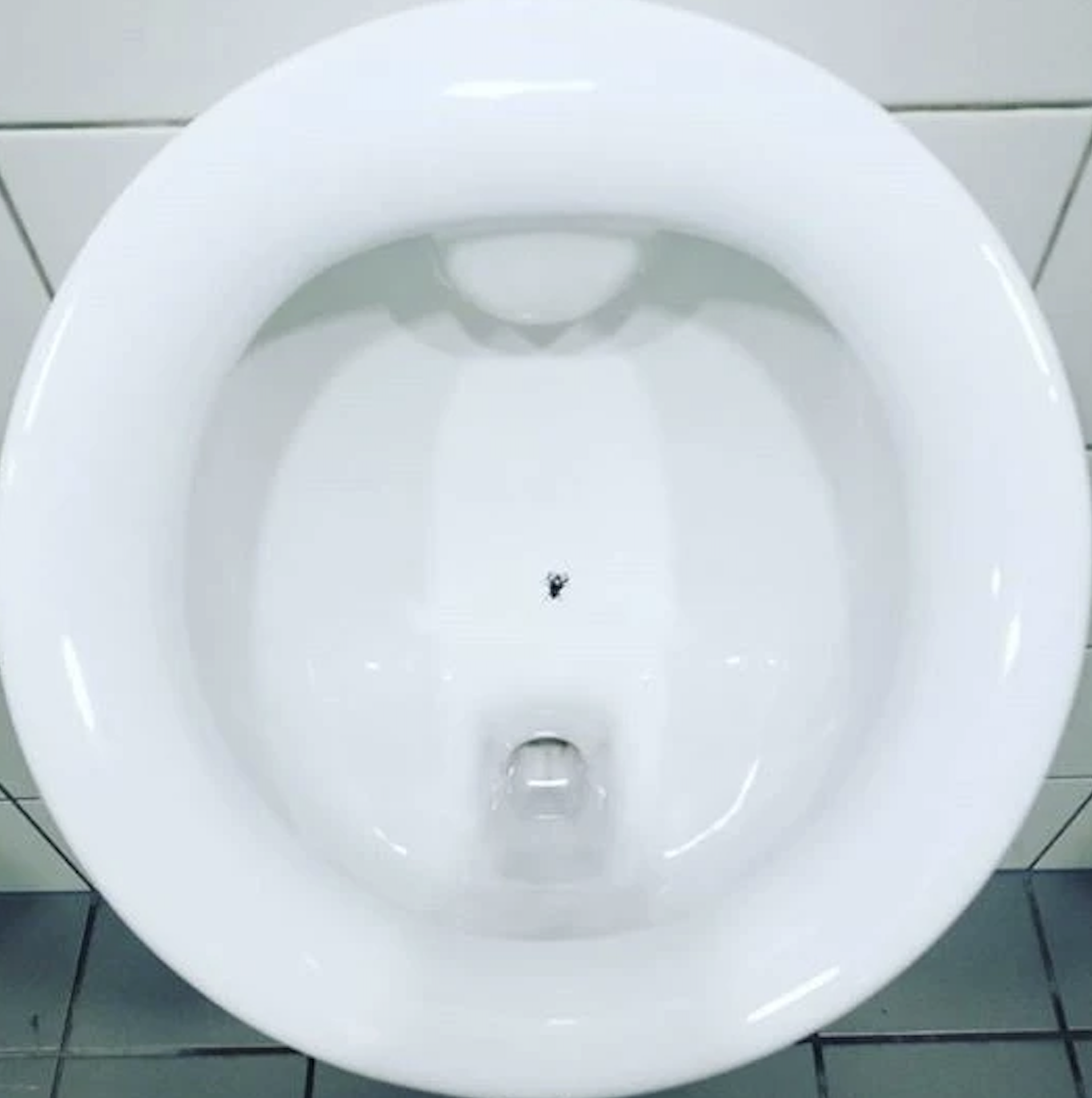 nudge toilette stickers mouche