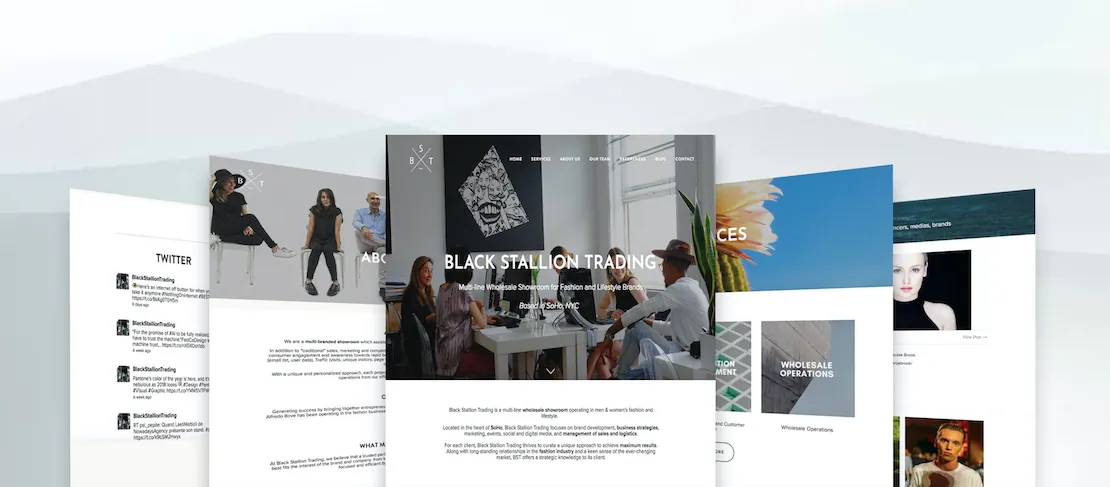 Site web Black Stallion Trading