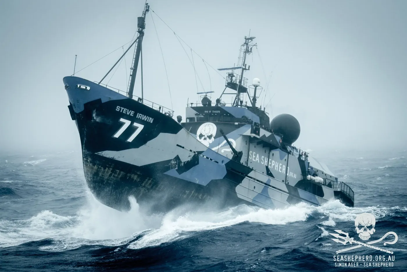 Sea Shepherd × Racines de Demain