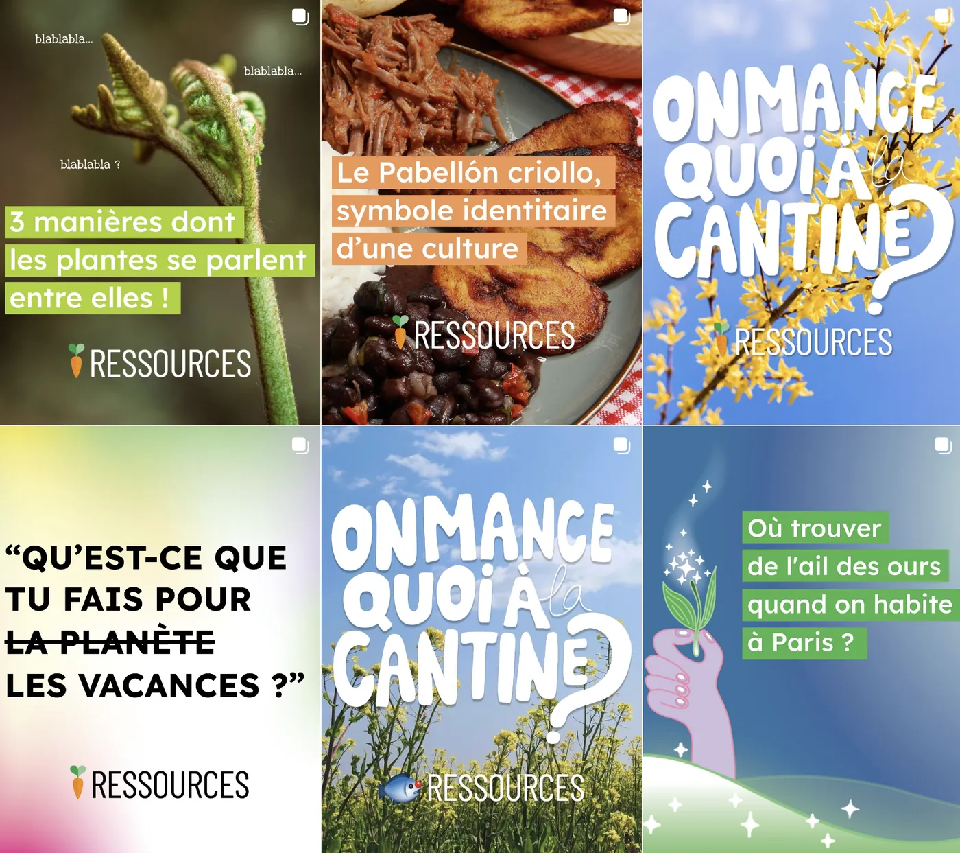 Stratégie Ressources Green